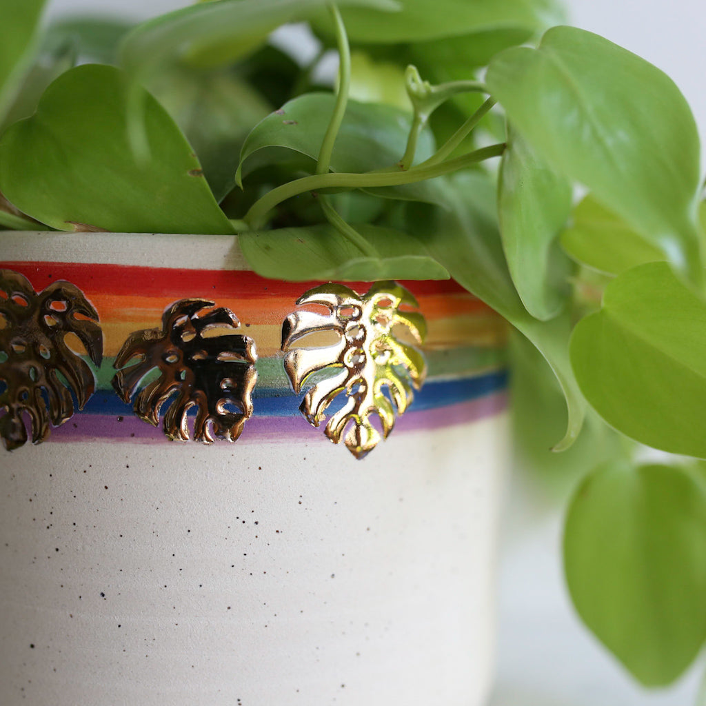 TCK #1413 PRIDE Monstera Planter