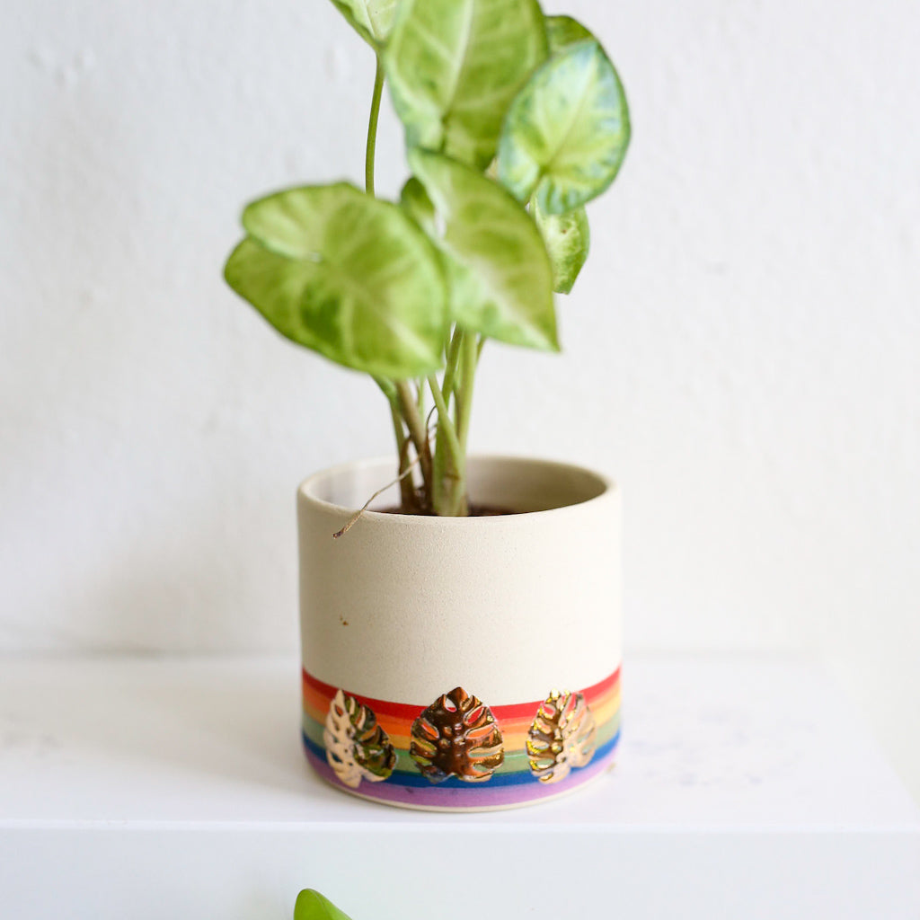 TCK #1414 PRIDE Monstera Planter
