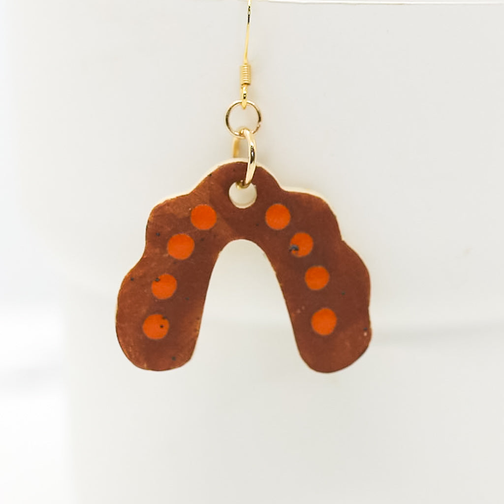 Rust Rainbow Earrings