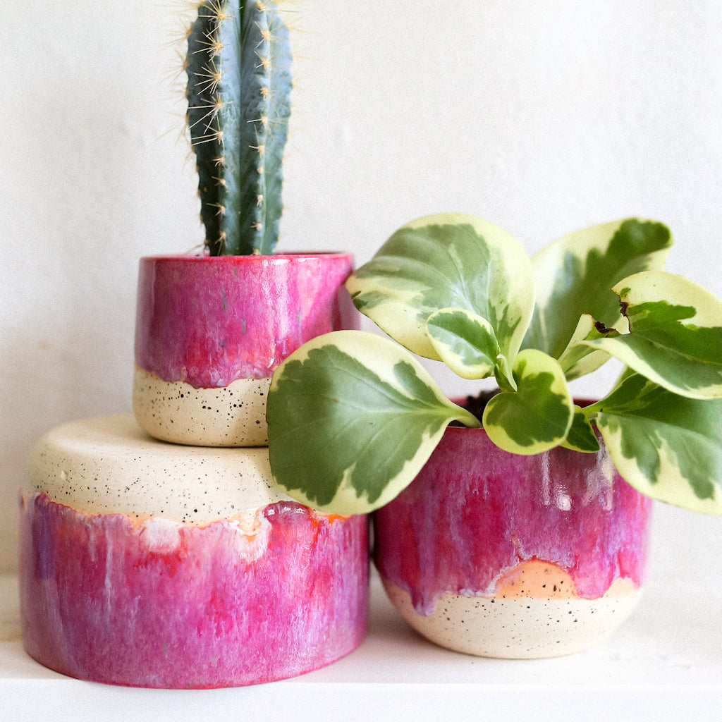 TCK #1310 Pink Melt Planter