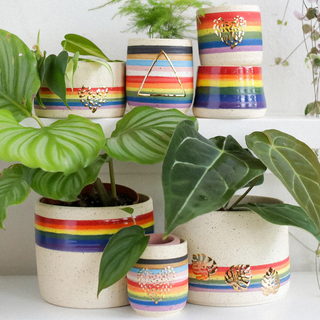 TCK #1335 PRIDE Planter