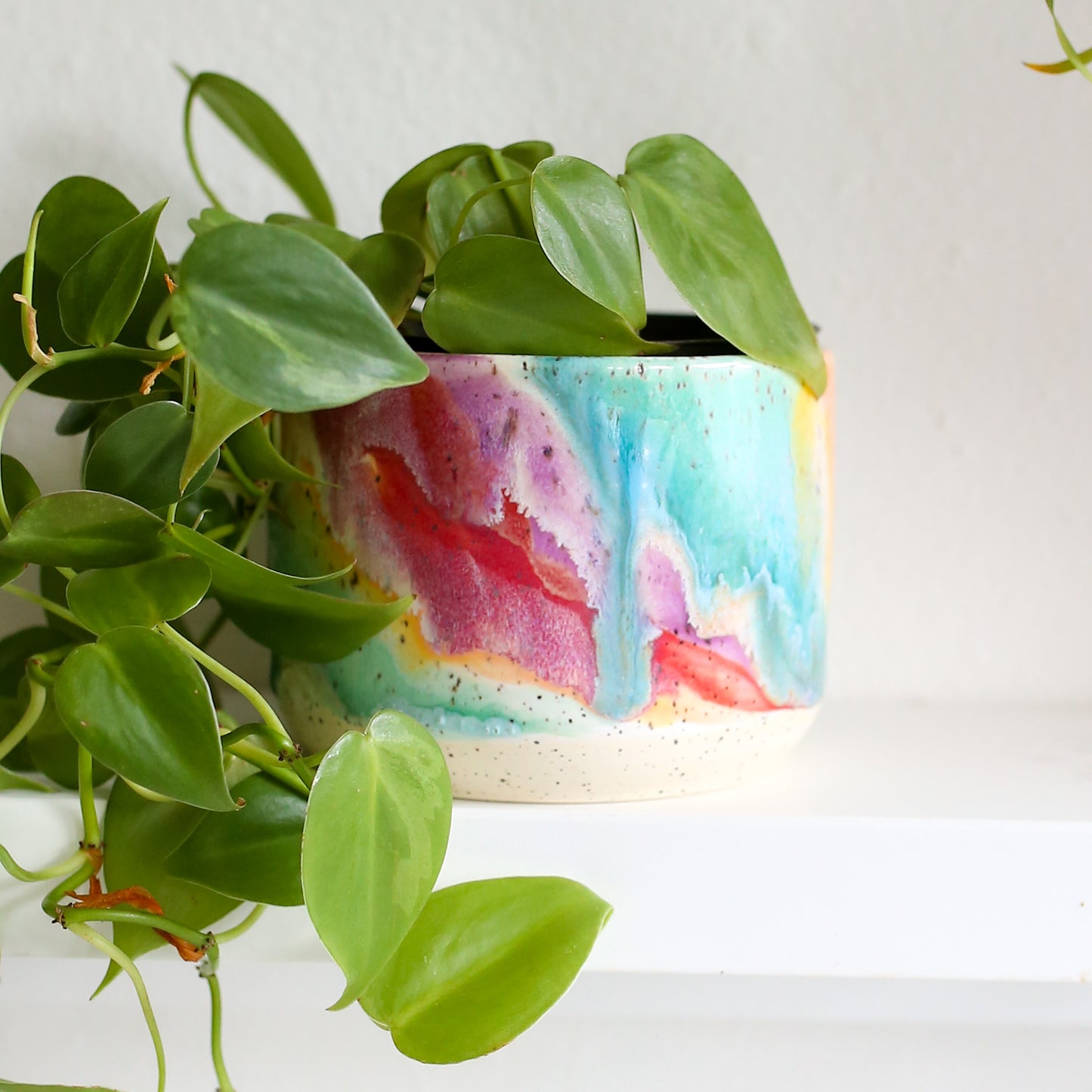 TCK #1616 Rainbow Melt Planter