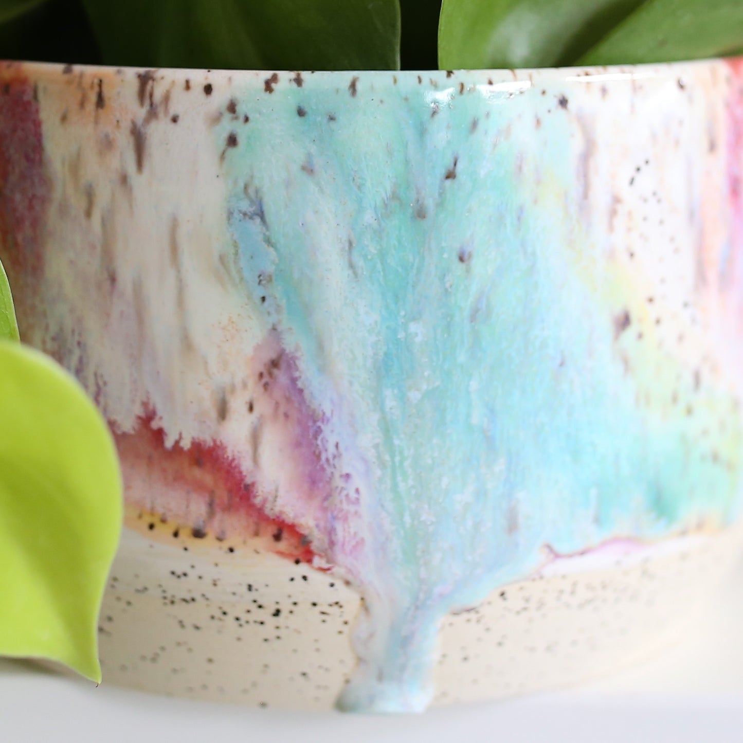 TCK #1617 Rainbow Melt Planter