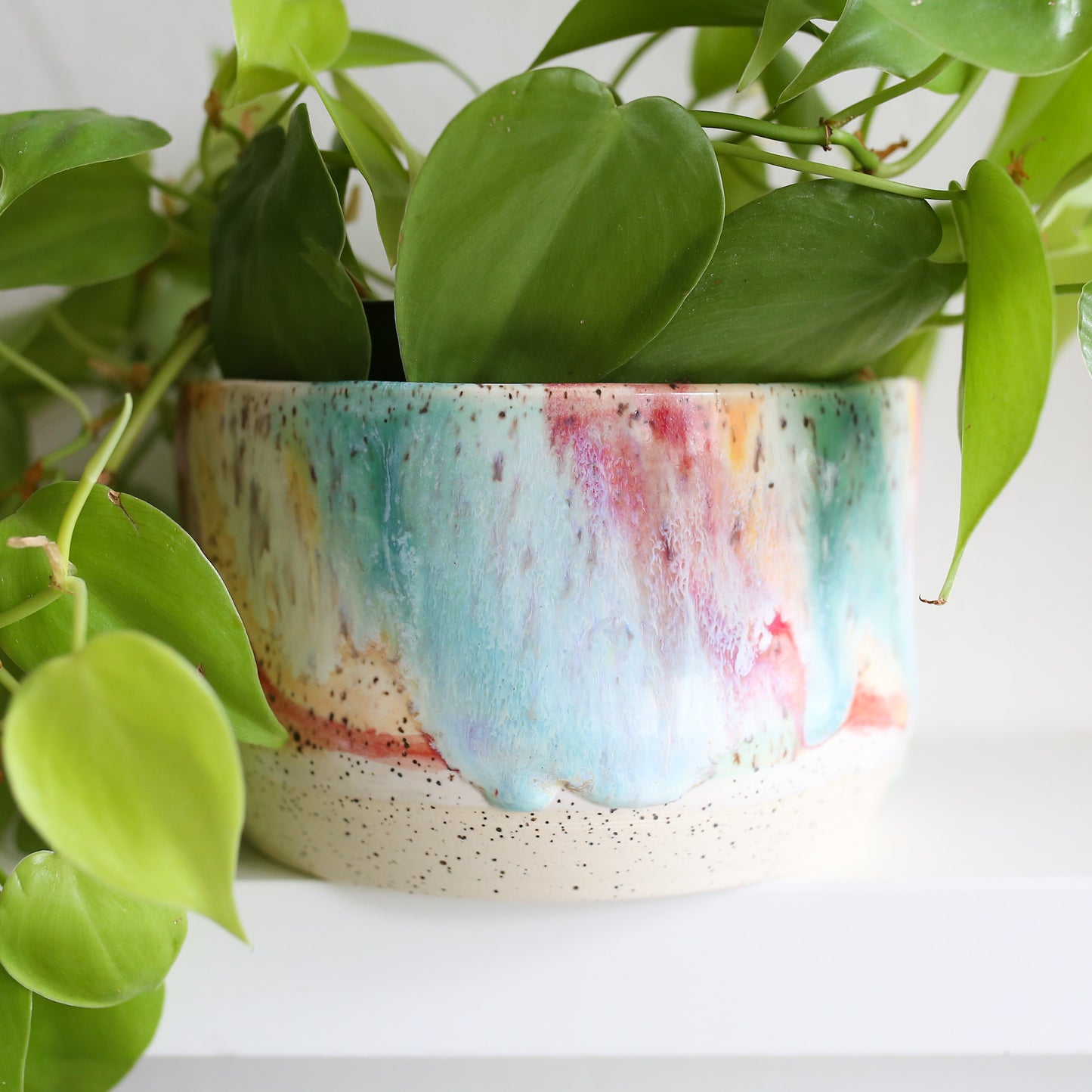 TCK #1617 Rainbow Melt Planter