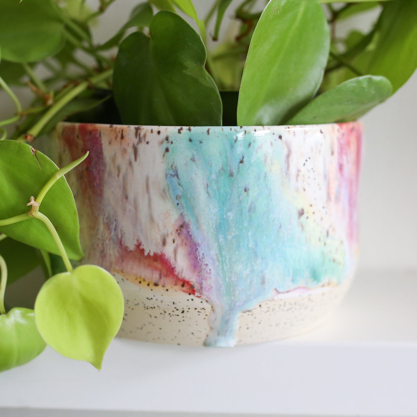 TCK #1617 Rainbow Melt Planter